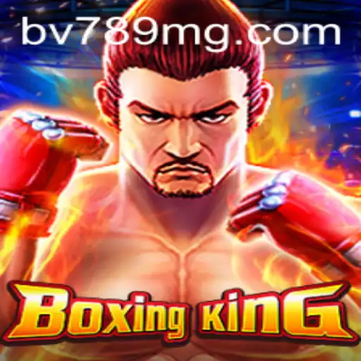 BoxingKing: Tudo que Você Precisa Saber