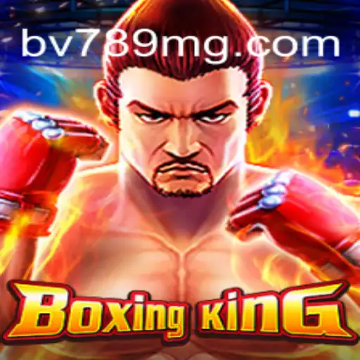 BoxingKing: Tudo que Você Precisa Saber